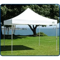 Caravan Traveler 10X10 Pop-Up Canopy